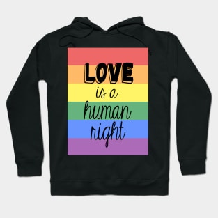 Love is a Human Right Hoodie